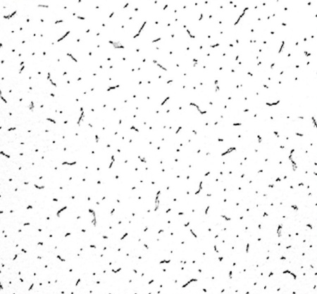 Плита для підвісної стелі, шт